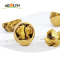 China Food Use and Carton Packaging Walnut Inshell Price